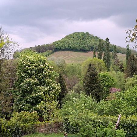 Studio Dans Belle Maison Ancienne Et Jardin Ferme L'Etoile  المظهر الخارجي الصورة