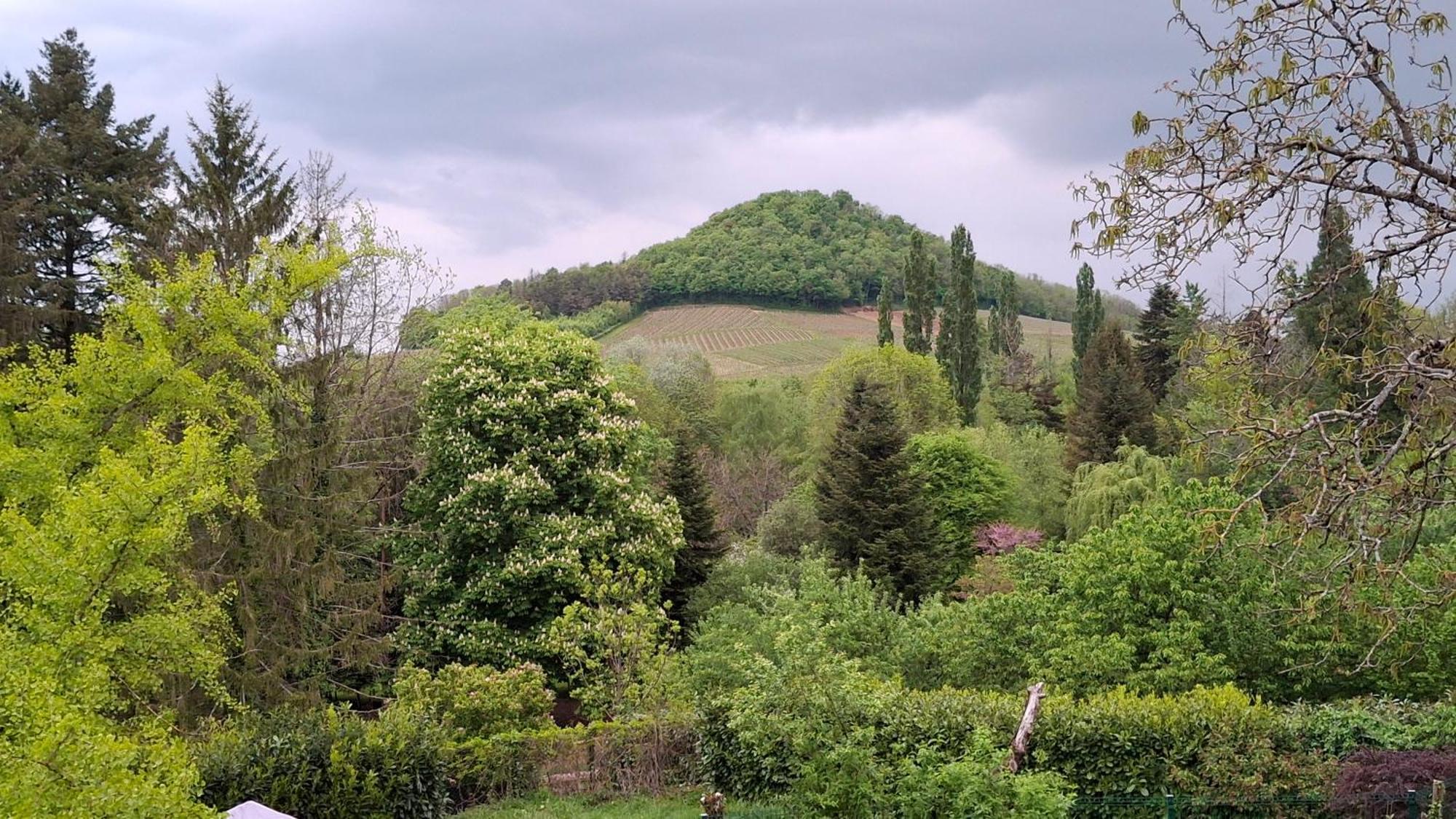 Studio Dans Belle Maison Ancienne Et Jardin Ferme L'Etoile  المظهر الخارجي الصورة